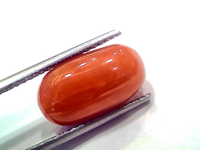 8.58 Ct 9.42 Ratti Natural Untreated Italian Red Coral Moonga AAAAA