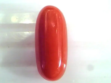 8.66 Ct Untreated Natural Premium Italian Red Coral Gemstone AAA