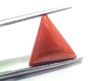 8.79 Ct 9.76 Ratti Natural Italian Triangle Red Coral Moonga Gemstone