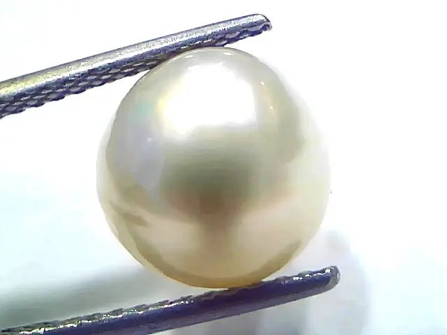 8.56 Ct Natural Certified Real South Sea Pearl Certified Moti