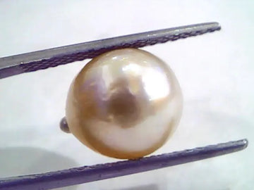8.77 Carat Natural Certified Real South Sea Pearl,Certified Moti