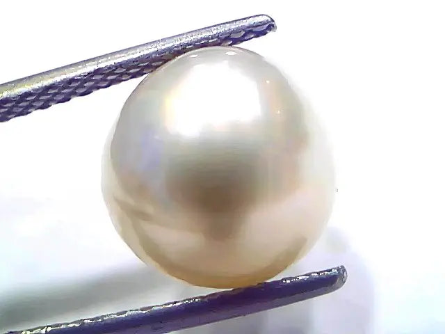 8.72 Ct Natural Certified Real South Sea Pearl Certified Moti
