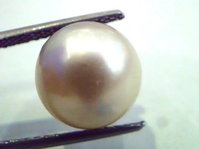 8.92 Carat Natural Certified Real South Sea Pearl,Certified Moti