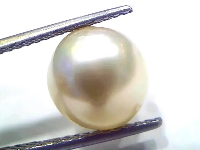 8.72 Ct Natural Certified Real South Sea Pearl Certified Moti
