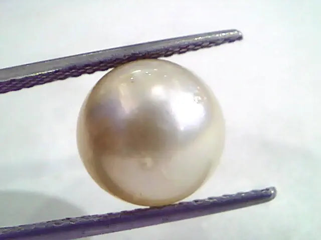 8.95 Carat Natural Certified Real South Sea Pearl,Certified Moti