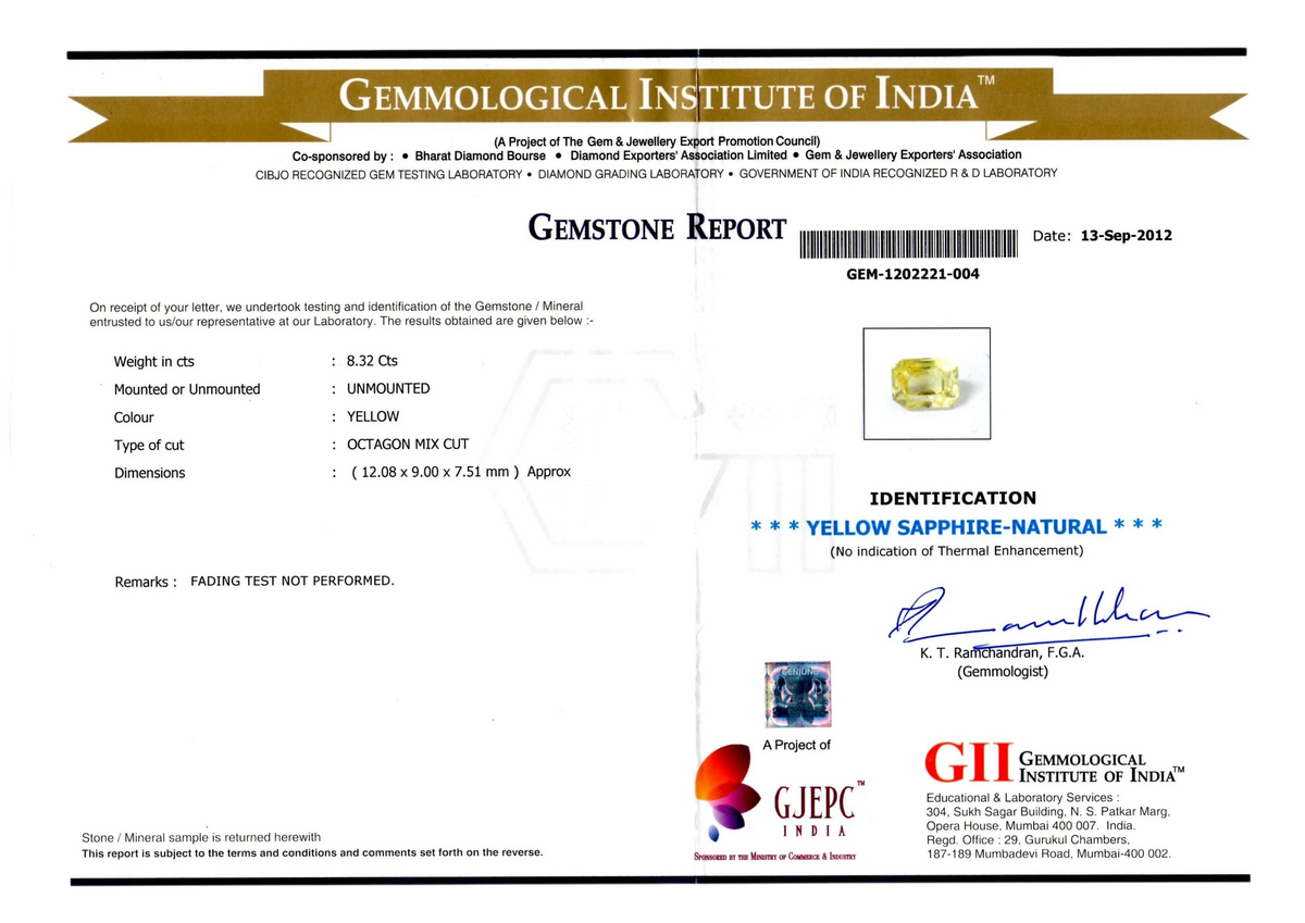 8.32 Ct GII Certified Unheated Untreated Natural Ceylon Yellow Sapphire Pukhraj - Venus Gems