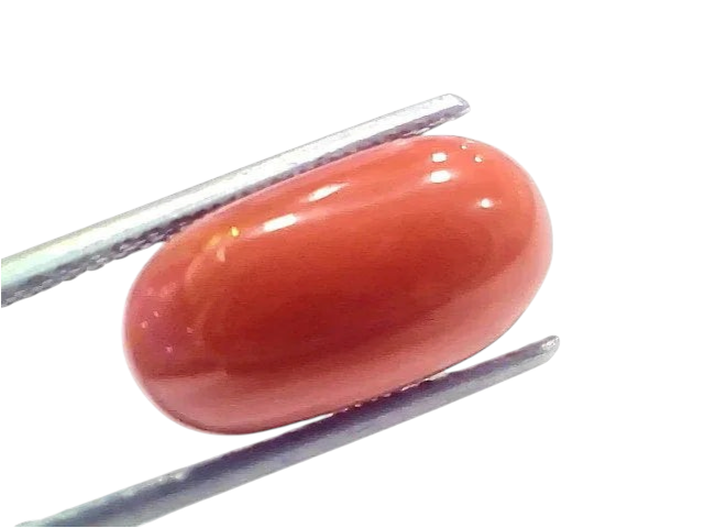 8.61 Ct 9.5 Ratti Natural Untreated Italian Red Coral Moonga Gems - Venus Gems