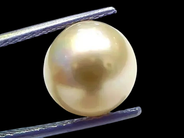 8.19 Ct Natural Certified Real South Sea Pearl Certified Moti - Venus Gems