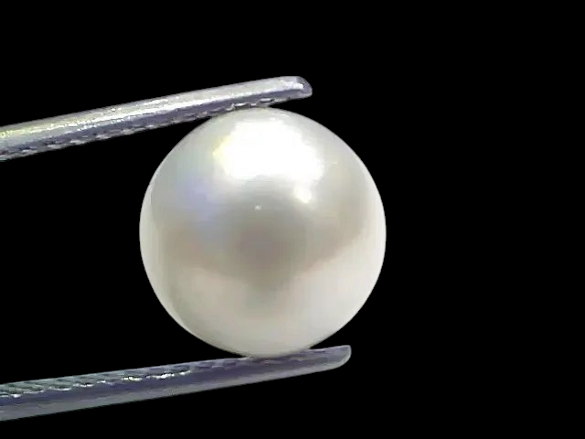 7.99 Ct Natural Certified Real South Sea Pearl Certified Moti - Venus Gems