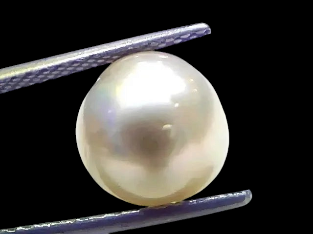 8.19 Ct Natural Certified Real South Sea Pearl Certified Moti - Venus Gems