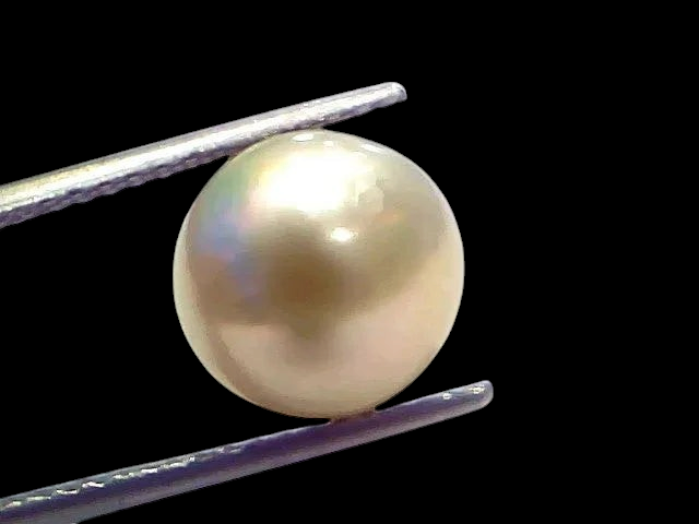 8.27 Ct Natural Certified Real South Sea Pearl Certified Moti - Venus Gems