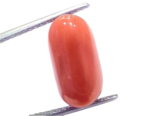 8.49 Ct 9.4 Ratti Natural Untreated Italian Red Coral Moonga Gems - Venus Gems