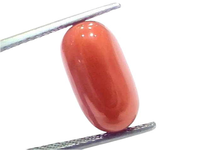 8.49 Ct 9.4 Ratti Natural Untreated Italian Red Coral Moonga Gems - Venus Gems