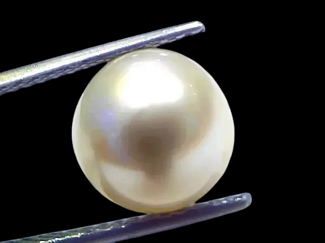 8.20 Ct Natural Certified Real South Sea Pearl Certified Moti - Venus Gems
