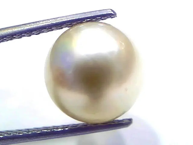9.02 Ct Natural Certified Real South Sea Pearl Certified Moti