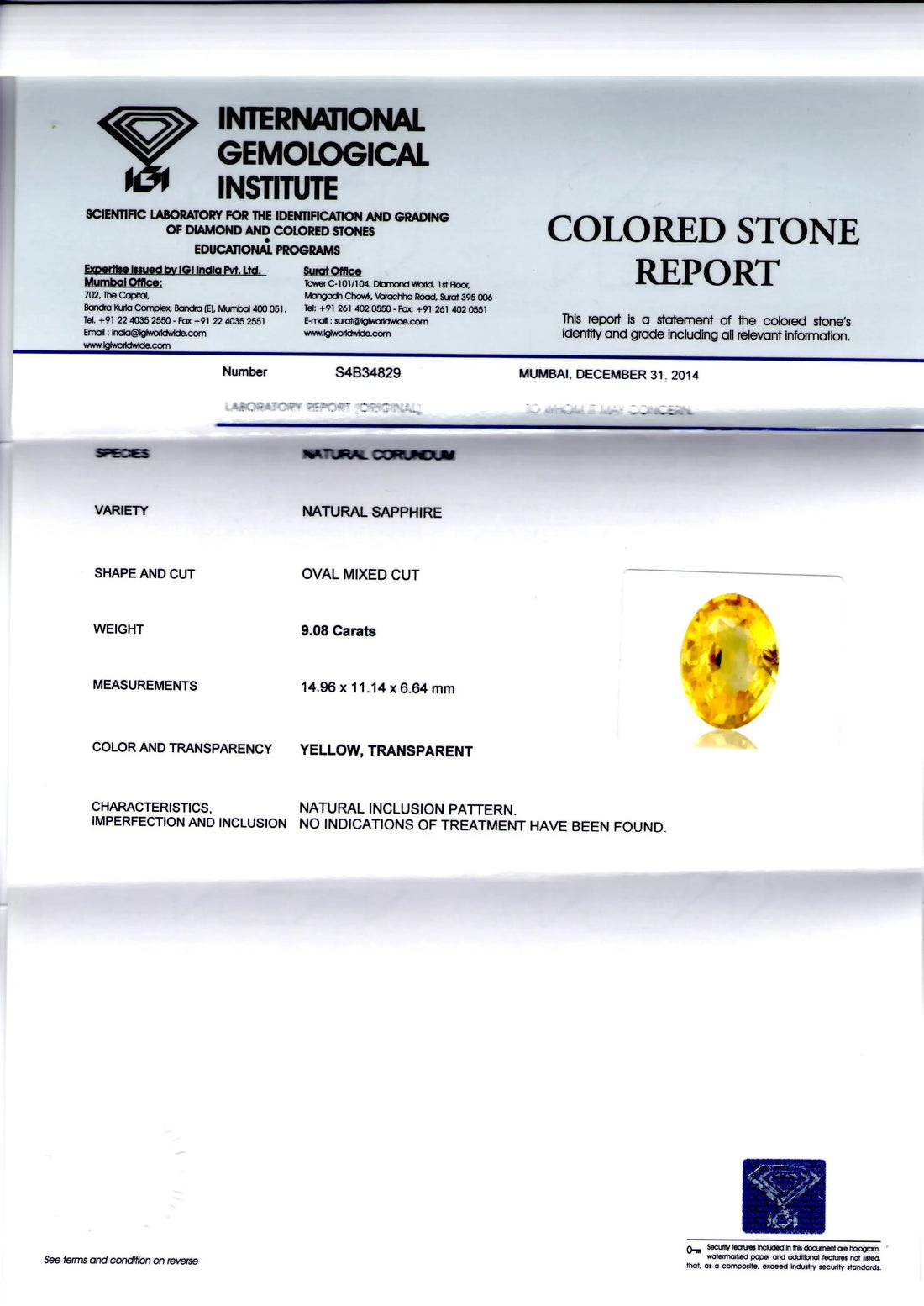 9.08 Ct Unheated Untreated Natural Ceylon Yellow Sapphire/Pukhraj - Venus Gems