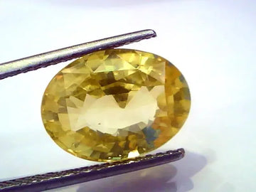 9.08 Ct Unheated Untreated Natural Ceylon Yellow Sapphire/Pukhraj - Venus Gems