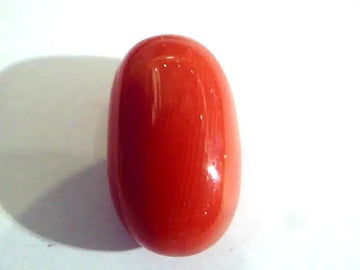9.26 Ct Untreated Natural Premium Italian Red Coral AAAAA