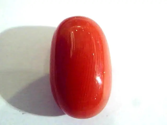 9.26 Ct Untreated Natural Premium Italian Red Coral AAAAA