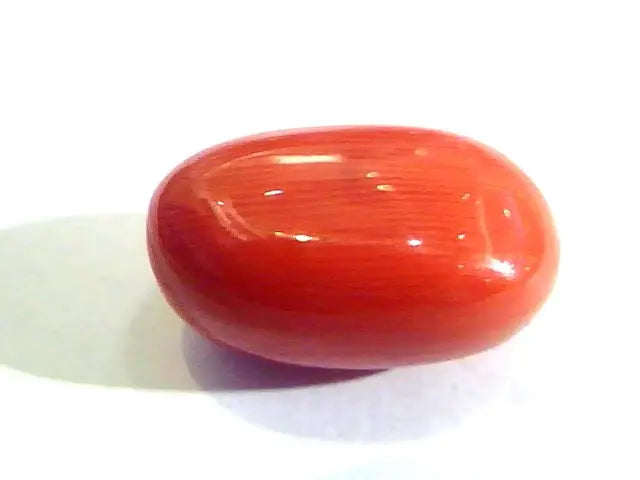 9.26 Ct Untreated Natural Premium Italian Red Coral AAAAA