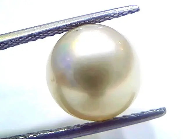 9.11 Ct Natural Certified Real South Sea Pearl Certified Moti