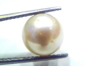 9.22 Ct Natural Certified Real South Sea Pearl Certified Moti - Venus Gems