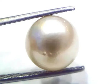 9.27 Ct Natural Certified Real South Sea Pearl Certified Moti - Venus Gems