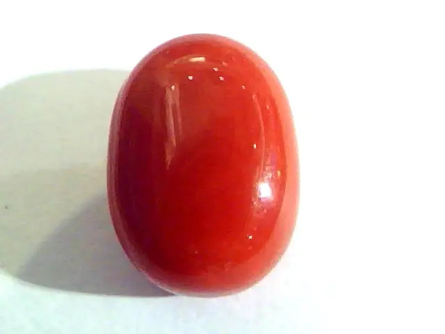 9.50 Ct Untreated Natural Premium Italian Red Coral AAAAAA