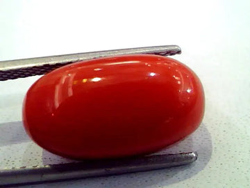 9.54 Ct Premium Natural Italian Red Coral,Real Moonga Gemstone AAA