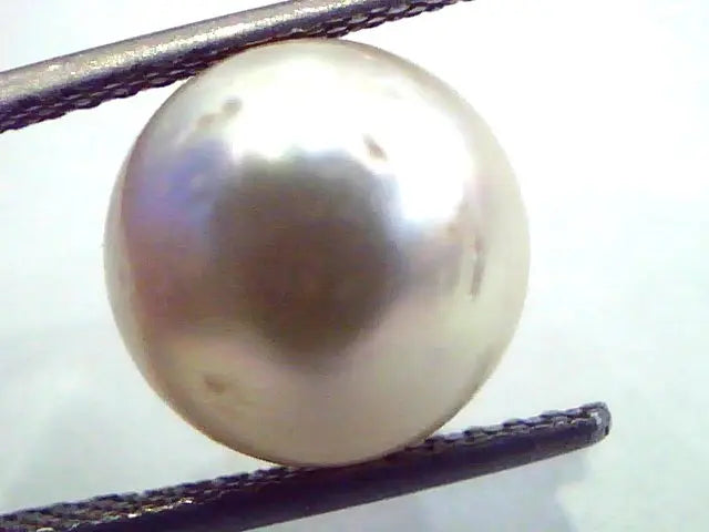 9.52 Carat Natural Certified Real South Sea Pearl,Certified Moti