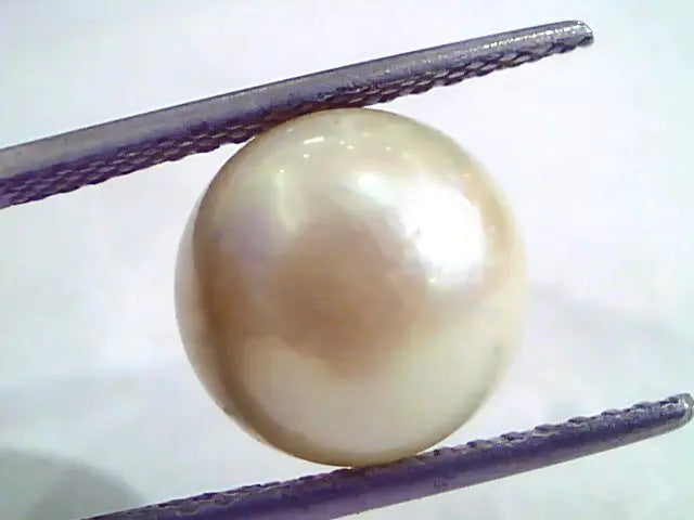 9.53 Carat Natural Certified Real South Sea Pearl,Certified Moti