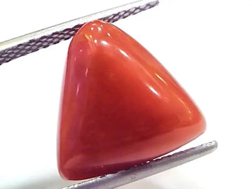 9.65 Ct 16 Ratti Natural Italian Triangle Red Coral Moonga Gemstone