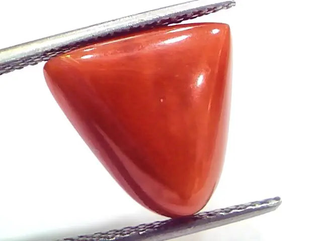 9.65 Ct 16 Ratti Natural Italian Triangle Red Coral Moonga Gemstone