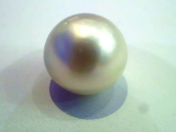 9.78 Ct Certified Natural Round South Sea Pearl,Real Moti Gems