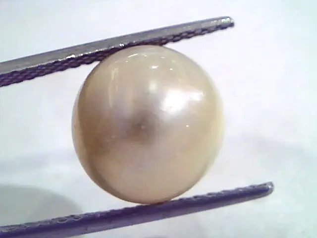 9.84 Carat Natural Certified Real South Sea Pearl,Certified Moti