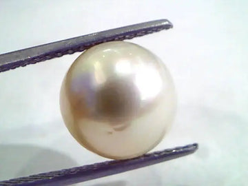 9.85 Carat Natural Certified Real South Sea Pearl,Certified Moti