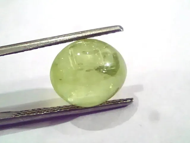 9.87 Ct IGI Certified Untreated Natural Ceylon Chrysoberyl Cats Eye - Venus Gems