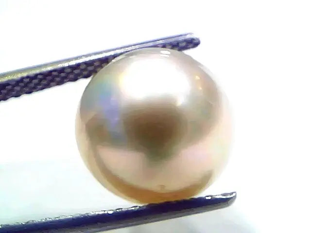 9.98 Ct Natural Certified Real South Sea Pearl Certified Moti