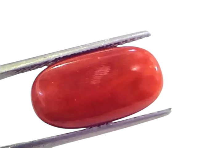 9.86 Ct 10.95 Ratti Untreated Natural Premium Italian Red Coral Gemstone AAA - Venus Gems