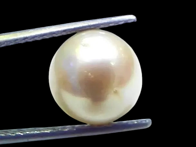 9.22 Ct Natural Certified Real South Sea Pearl Certified Moti - Venus Gems