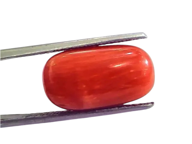 9.27 Ct 10.3 Ratti Natural Italian Red Coral Moonga Gemstone AAAA - Venus Gems