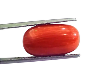 9.27 Ct 10.3 Ratti Natural Italian Red Coral Moonga Gemstone AAAA - Venus Gems