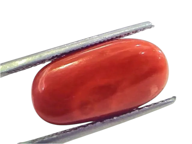 9.92 Ct 11.02 Ratti Untreated Natural Premium Italian Red Coral Gemstone AAA - Venus Gems