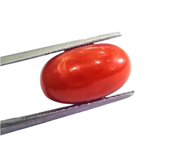 9.97 Ct 11.07 Ratti Natural Italian Red Coral Moonga Gemstone AAAA - Venus Gems
