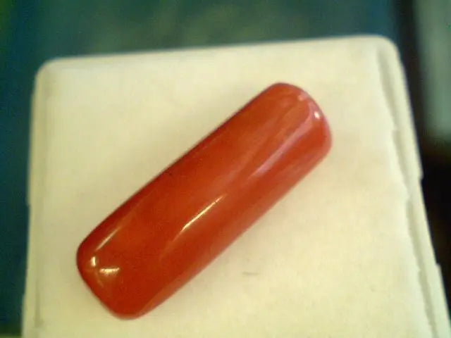5.5 Carat Untreated Natural Red Coral Italian Gemstone Real Moonga