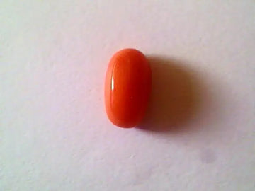 2.34 Ct Untreated Natural Japan Red Coral Gems for Mangal