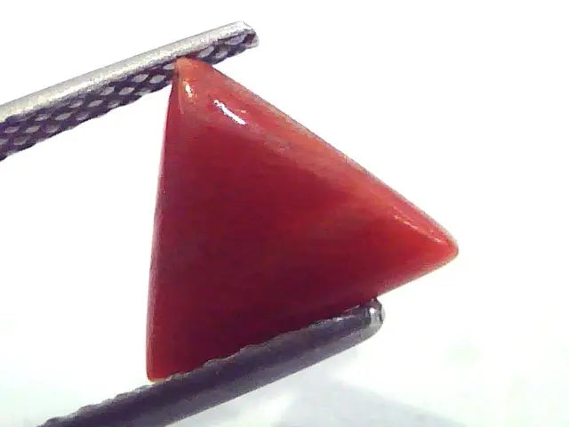 1.71 Carat Natural Italian Triangle Red Coral Moonga Gemstone