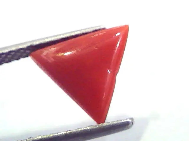 1.81 Carat Natural Italian Triangle Red Coral Moonga Gemstone