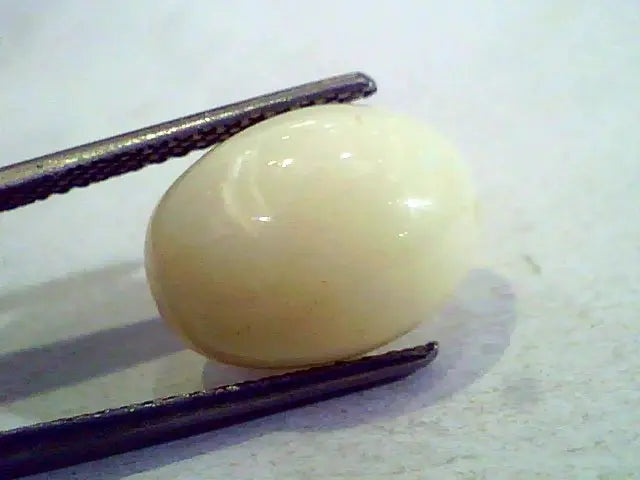 2-10 Ct Natural Australian White Opal Gemstone Premium Quality