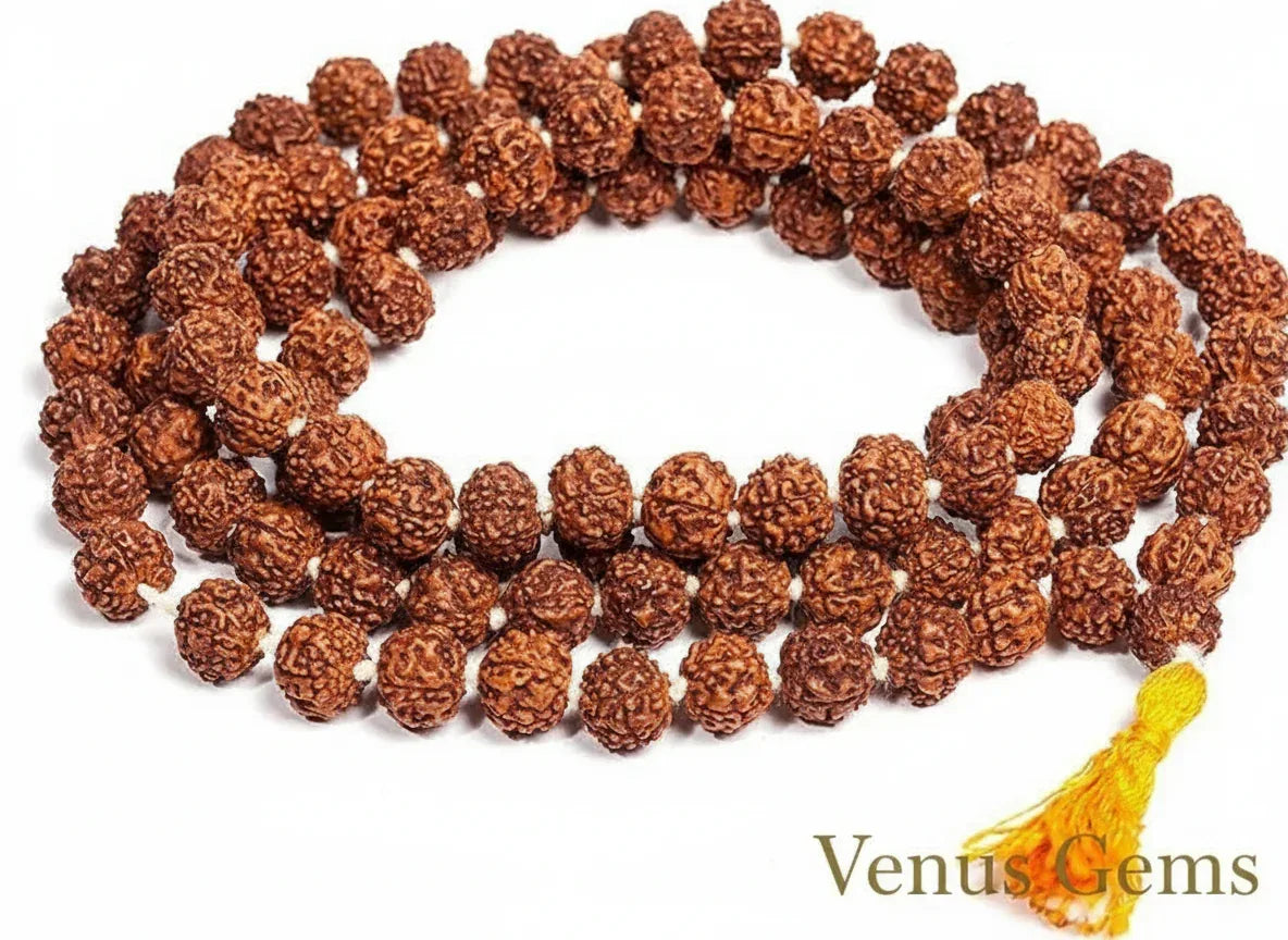 5 Mukhi Rudraksha Japa Mala 108 Beads 7mm - Venus Gems